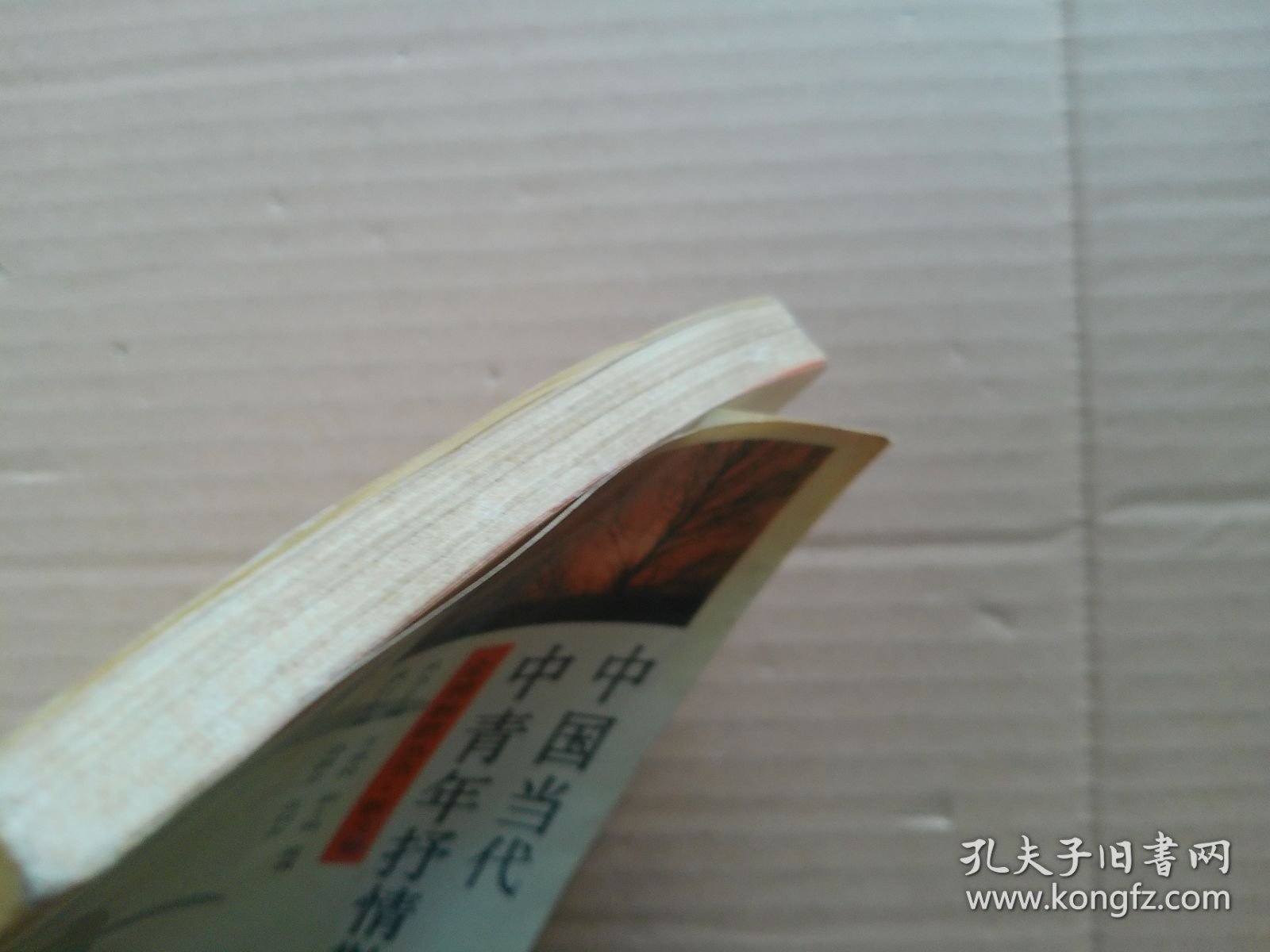 中国当代中青年抒情散文选