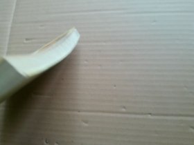 中国当代中青年抒情散文选