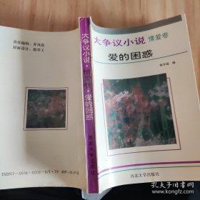 大争议小说·情爱卷爱的困惑