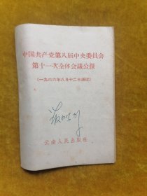 中国共产党第八届中央委员会第十一次全体会议公报