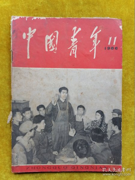 中国青年1966.11