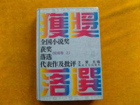 全国小说奖获奖落选代表作及批评:短篇卷上