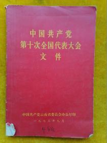 中国共产党第十次全国代表大会文件.