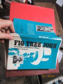 FIG TREE JOHN  签名  51281