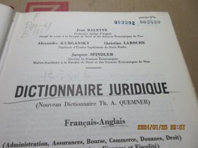DICTIONNAIRE JURIDIQUE 精 17846
