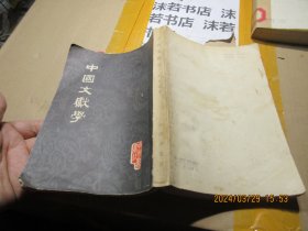 中国文献学 17028