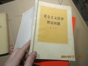 苏联化学家在中国的学术报告