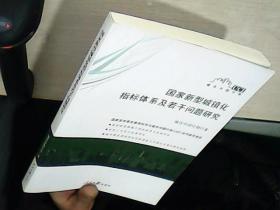 国家新型城镇化指标体系及若干问题研究