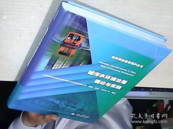 城市水环境治理理论与实践（水环境治理与保护丛书）