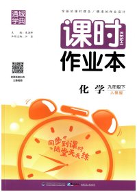 通城学典课时作业本 化学 九年级下 人教版