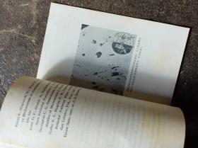 中枢神经系统网状结构临床学和病理形态学概论