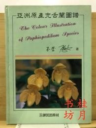 亚洲原产兜古兰图谱 亚洲原产兜古兰图谱