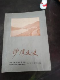 沙湾文史8（在推荐语和图片看目录）