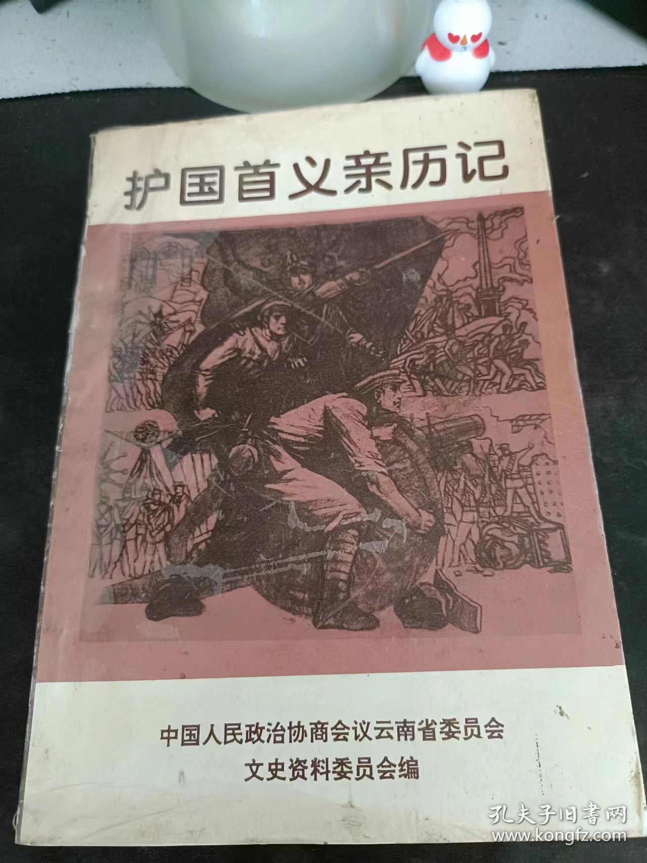 护国首义亲历记：（在推荐语和图片看目录）