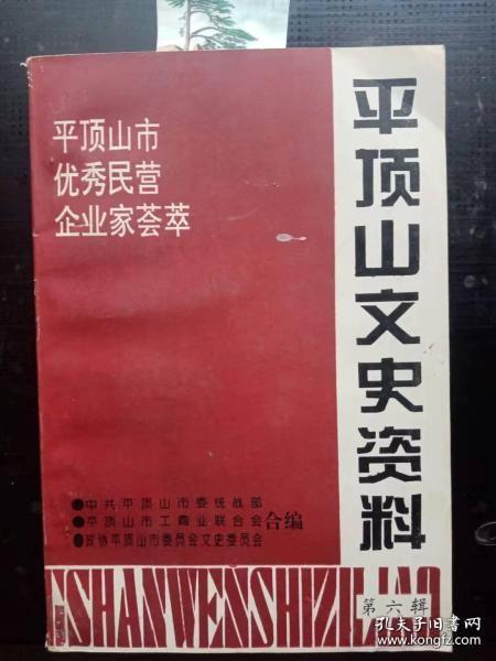 平顶山文史资料6：   记郏县楼外楼大酒店经理何淑琴，记湛河区苗侯 光辉轧钢厂厂长李国正， 记舞钢市尚店镇商业经销店经理王金贞，衣宝丰山书画装潢部经理叶建民，记西区光明抛发部经理类现东， 记叶县清真冷冻厂厂长杨 群祥，叶县骨粒化工总公司经理马慈民 ，记鲁山清真耧经理马建军， 记京鲁园林绿化联营公司经理肖秉杰，雄才大略的企业家房治平，记鲁山县春光企业有限公司经理姜春现，