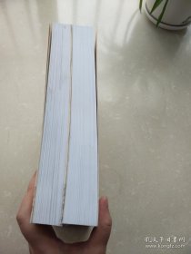 秦汉新城：历史文化遗存概览【上下册】