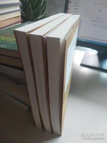 王阳明大传：知行合一的心学智慧（全三册）