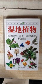 湿地植物
