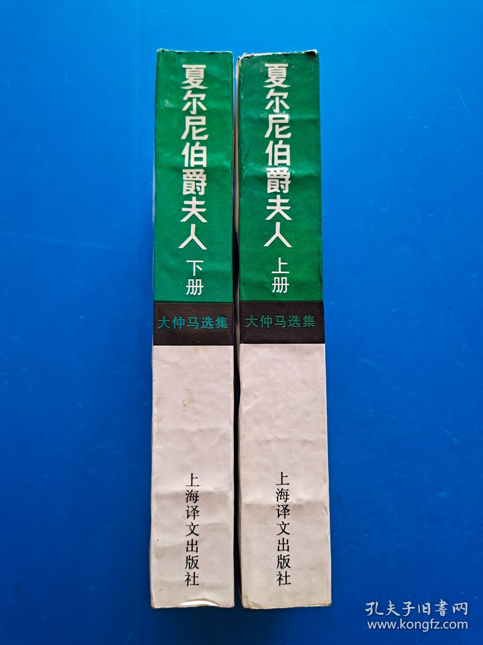 大仲马选集：夏尔尼伯爵夫人（上下）