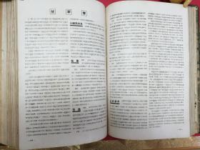 中华景象（补图）（34年初版一印孔网孤本。图书所采照片保存了大量上世纪30年代中国各个省份的自然景象和人文景观，描绘了一幅幅壮美的中国画卷，为今人的怀旧和收藏提供了绝好素材）