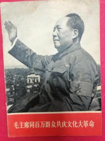 毛主席同百万群众共庆*****（封面毛接见红卫兵挥手像，内毛林像，1966年8月人民社1版1印）