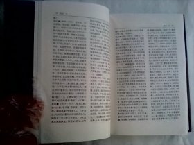 中国文学家大辞典：近代卷        1997年初印本