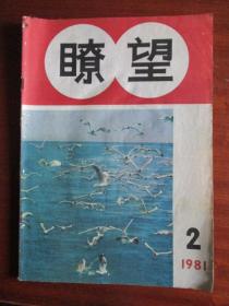 1981年各种杂志18本合卖