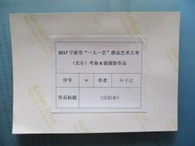 2017宁波市“一人一艺”群众艺术（摄影类）大考作品《庆阳春》【北仑考场.叶子近摄】