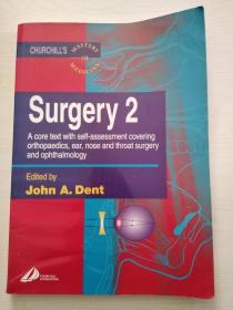 Surgery 2（Churchill's Mastery of Medicine）手术2（丘吉尔的医学成就）