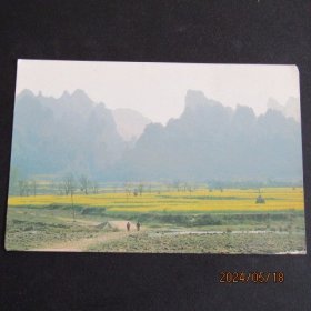80年代湖南武陵风光 百丈峡春色 明信片