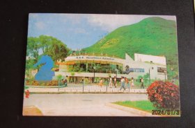 80年代“香港景色”明信片 新8枚全