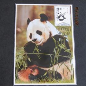 编号57-20分 熊猫吃竹邮票极限片 1984年代外文片源 90汶川卧龙戳