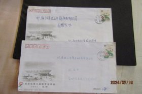 2002年湖南桃江 益阳-新桥河 芙蓉花邮资实寄封2枚合售