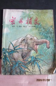 1973年上海版《密林捕象》32开彩版连环画 中上品