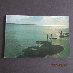 80年代 海边垂钓 明信片