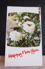 1985年哈尔滨市邮协会员元旦团聚会 折 贴T63中国黑白花奶牛 邮票