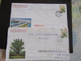 2004-05年安徽临泉-鲖城 无为-陡沟 芙蓉花邮资实寄封2枚合售