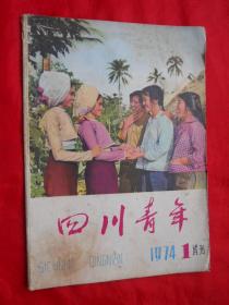 74年，试刊号，四川青年。16开