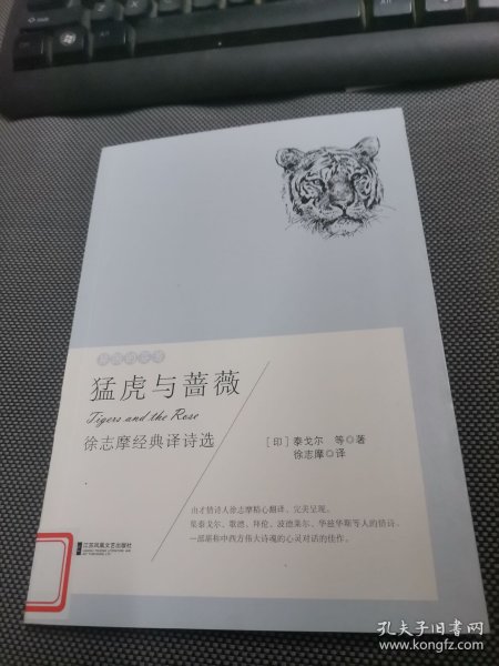 异国的芬芳：猛虎与蔷薇