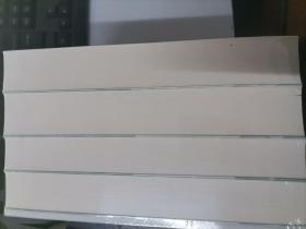 廖琪文集（1--5册 全）