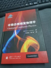 非稳态燃烧室物理学