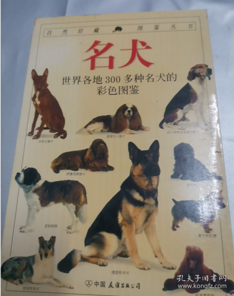 名犬：全世界300多种名犬的彩色图鉴