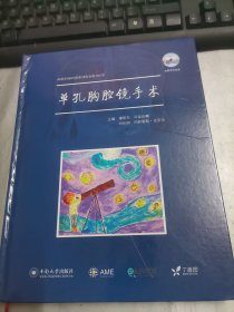 AME科研时间系列医学图书010 : 单孔胸腔镜手术