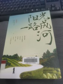 阳光一路成河