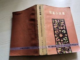 短篇小说集第二届全国少数民族文学创作获奖作品