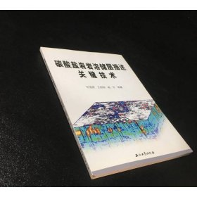 碳酸盐岩岩溶储层描述关键技术