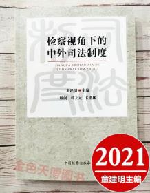 2021正版 检察视角下的中外司法制度 童建明 中国检察出版社 9787510225642