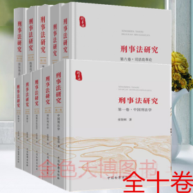 10本套刑事法研究丛书刑事法研究中国刑法学国际刑法学刑事诉讼法学犯罪学检察学司法改革论刑事责任论刑法理性论检察权论国际刑法