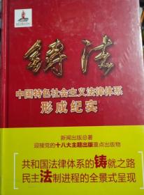 铸法 中国特色社会主义法律体系形成纪实 盘