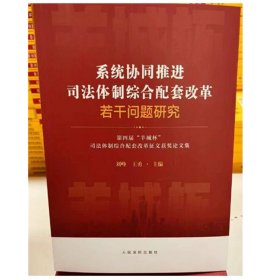 2023 系统协同推进司法体制综合配套改革若干问题研究 第四届羊城杯司法体制综合配套改革征文获奖文集 人民法院出版社 9787510938894